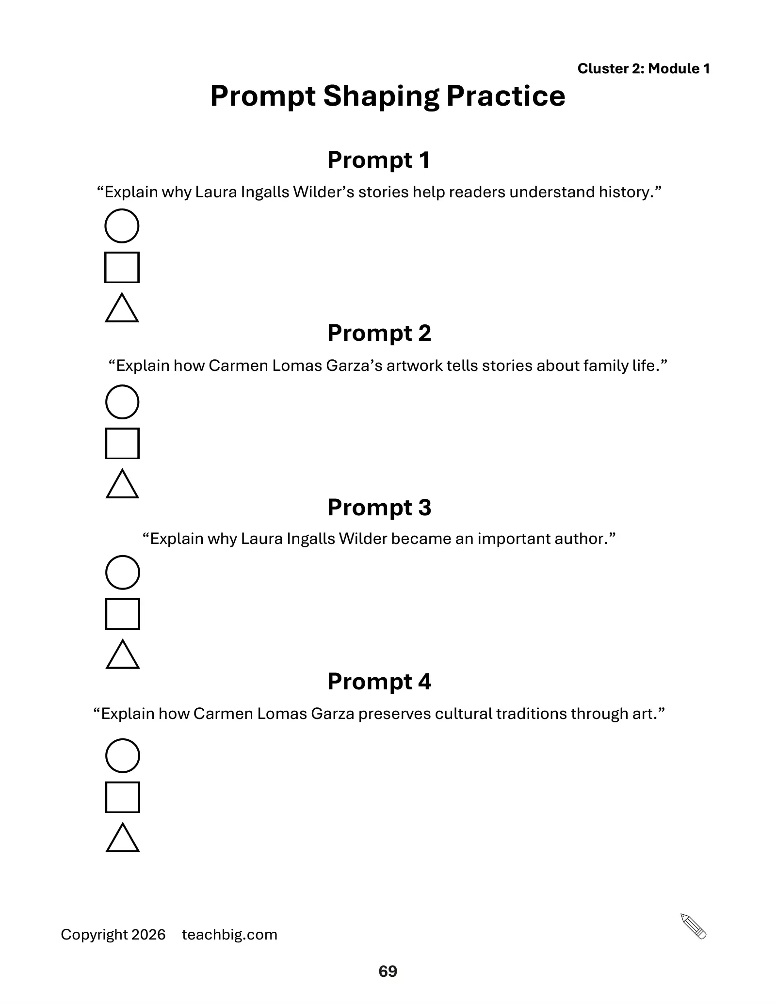 Page 71, prompt shaping choices